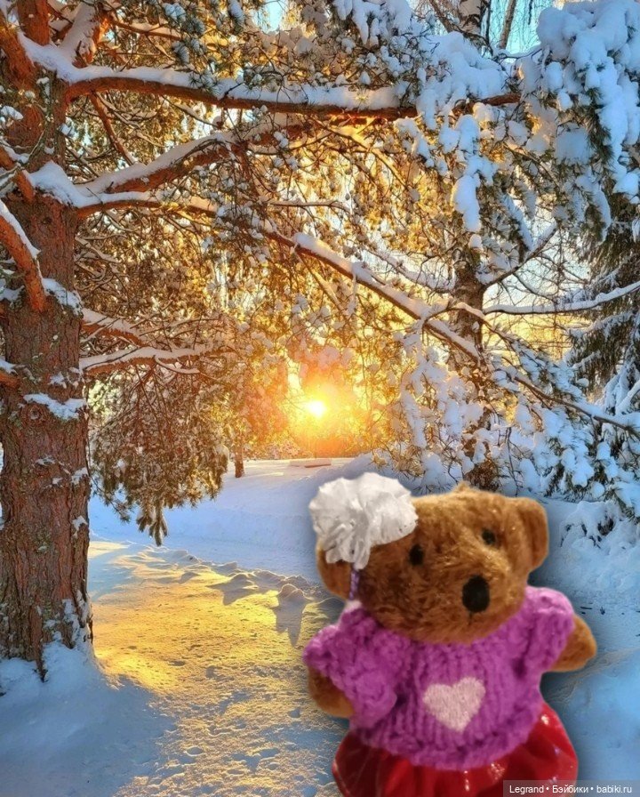 Из жизни моих мишек: Гюлиз и снег