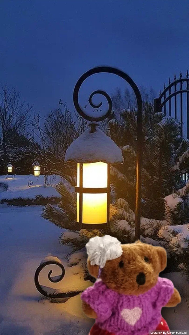 Из жизни моих мишек: Гюлиз и снег (фото 4)