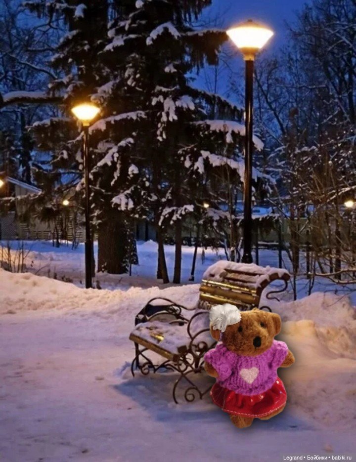 Из жизни моих мишек: Гюлиз и снег (фото 2)