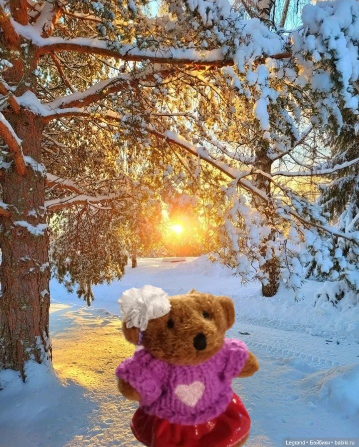 Из жизни моих мишек: Гюлиз и снег