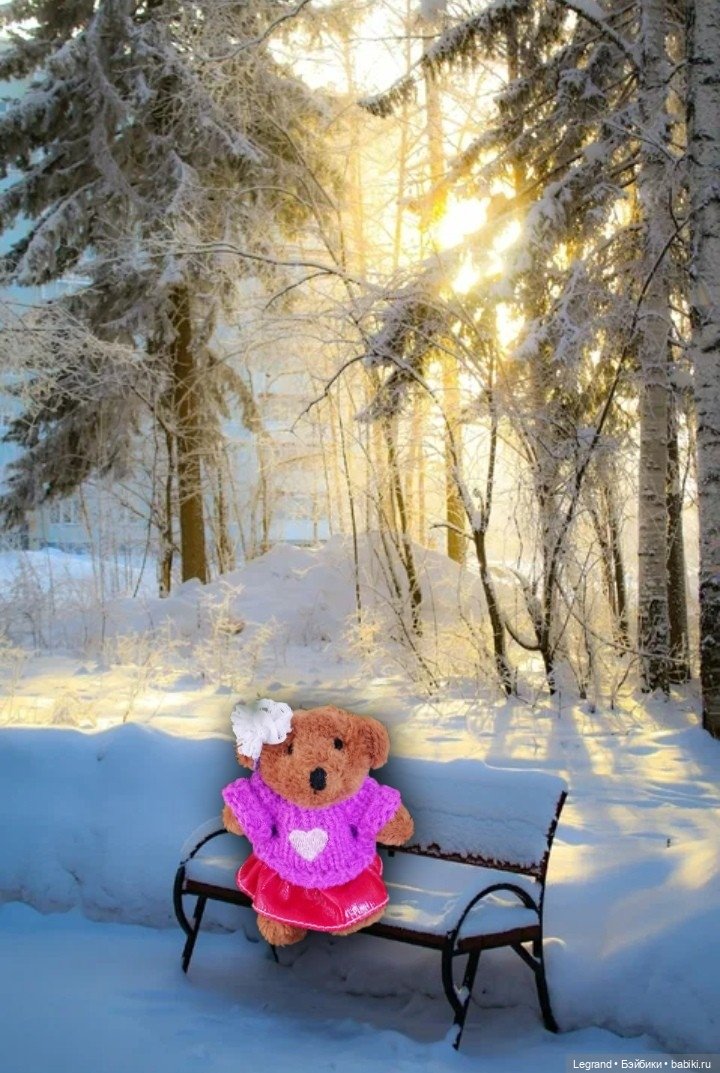 Из жизни моих мишек: Гюлиз и снег