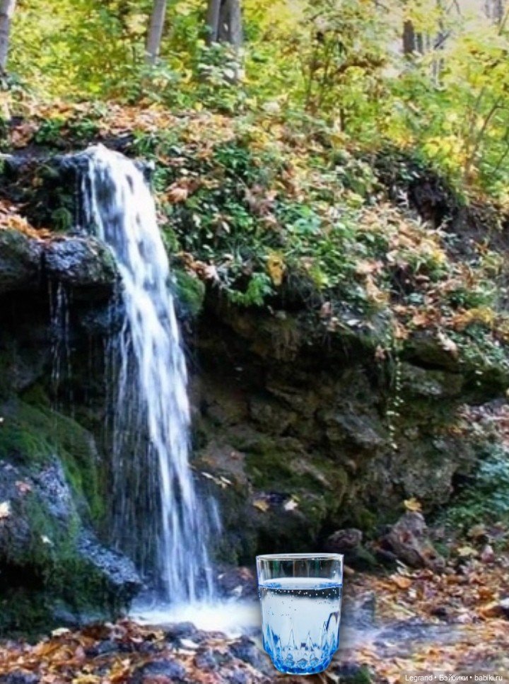 Из жизни моих мишек: Мишель и Гюлиз в лесу (фото 2)