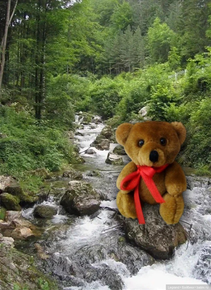 Из жизни моих мишек: Мишель и Гюлиз в лесу (фото 10)