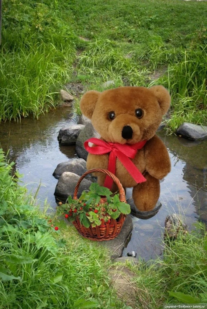 Из жизни моих мишек: Мишель и Гюлиз в лесу (фото 3)