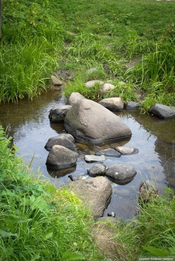 Из жизни моих мишек: Мишель и Гюлиз в лесу (фото 7)