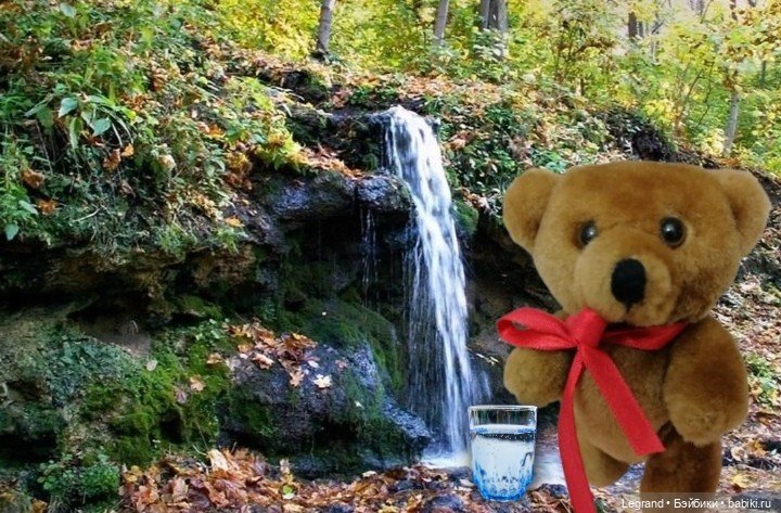 Из жизни моих мишек: Мишель и Гюлиз в лесу