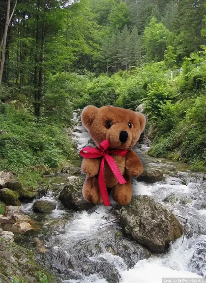 Из жизни моих мишек: Мишель и Гюлиз в лесу (фото 9)