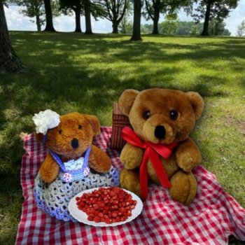 Из жизни моих мишек: Мишель и Гюлиз в лесу