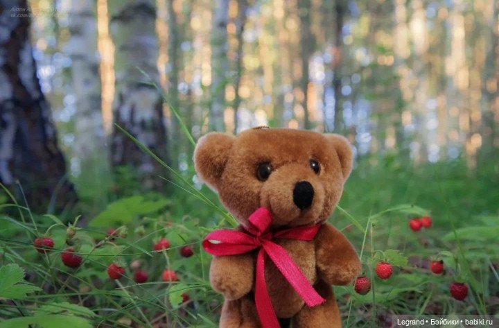 Из жизни моих мишек: Мишель и Гюлиз в лесу (фото 6)