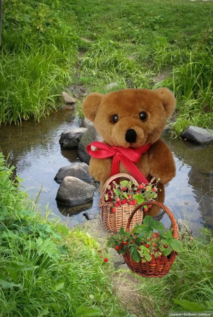 Из жизни моих мишек: Мишель и Гюлиз в лесу (фото 4)