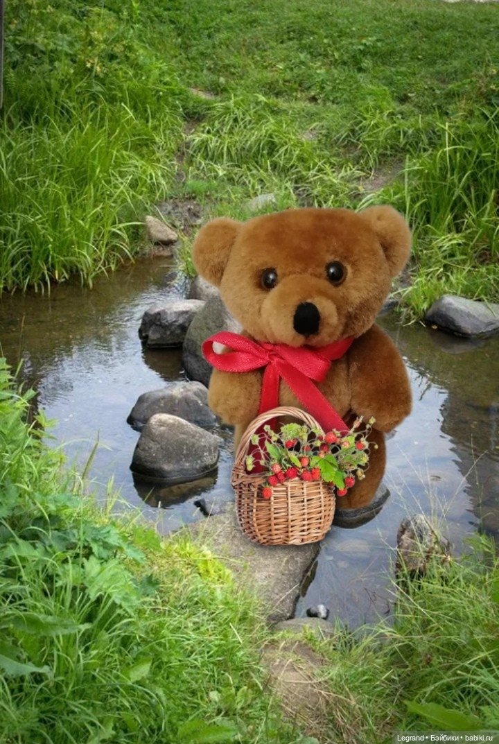 Из жизни моих мишек: Мишель и Гюлиз в лесу (фото 8)