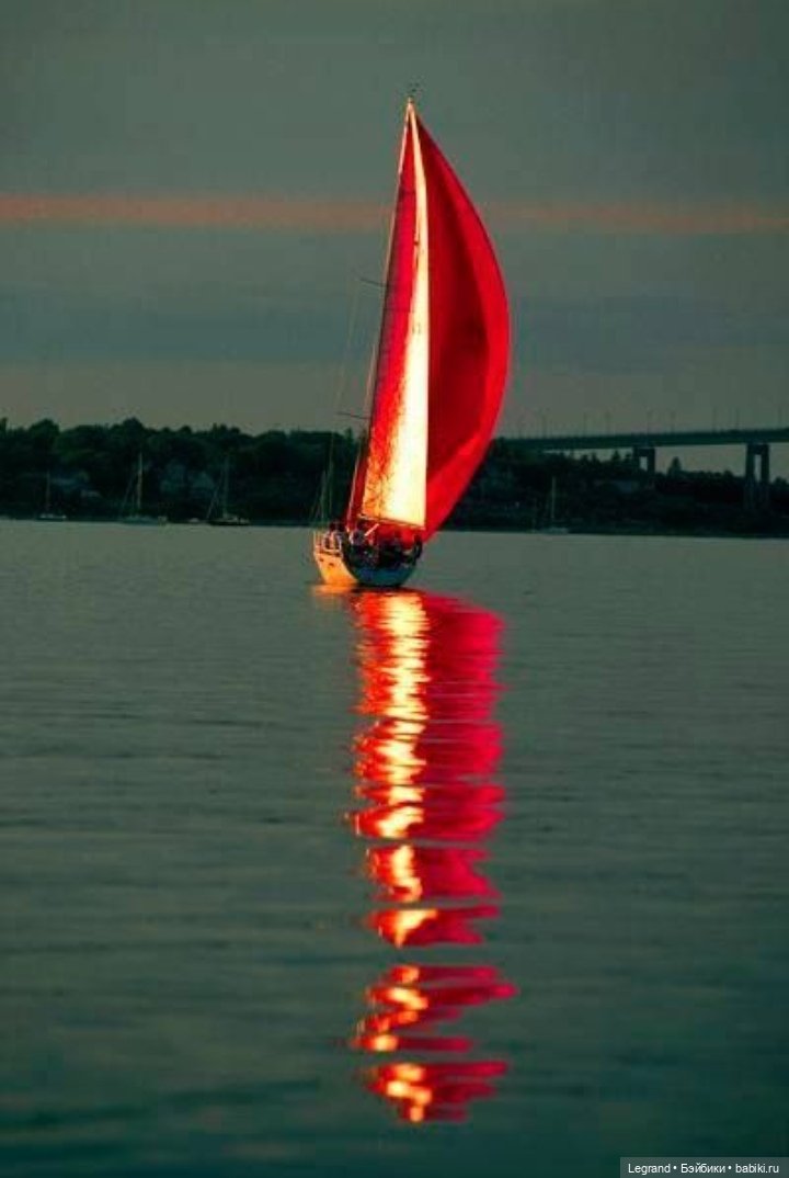 Они сами пишут свои истории: На полчаса туда, где ты