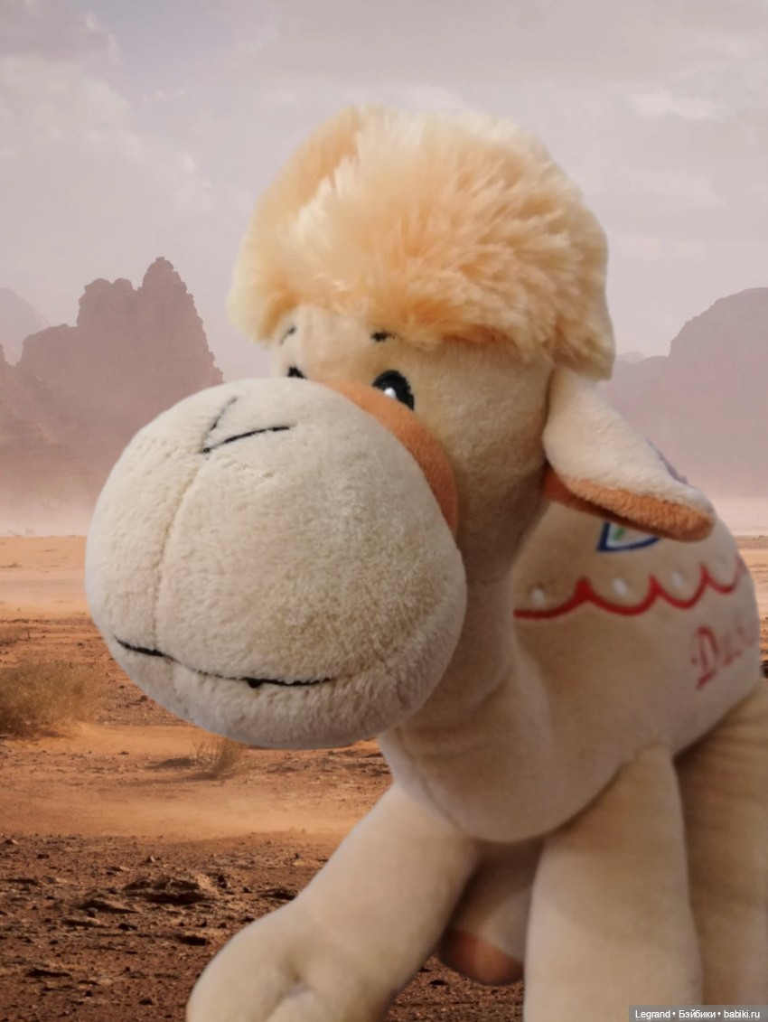 Лурения. Перепись домашних питомцев - 2025