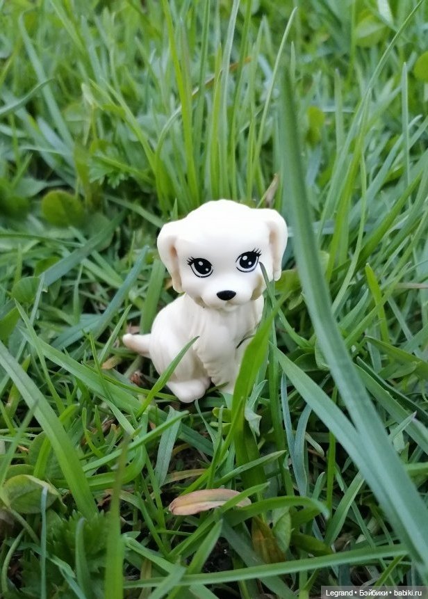 Лурения. Перепись домашних питомцев - 2025