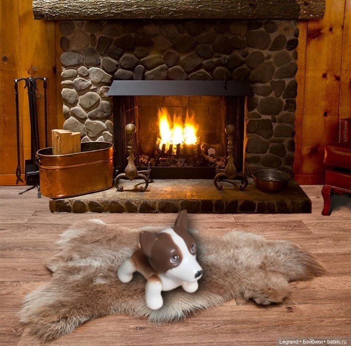 Лурения. Перепись домашних питомцев - 2025 (фото 7)