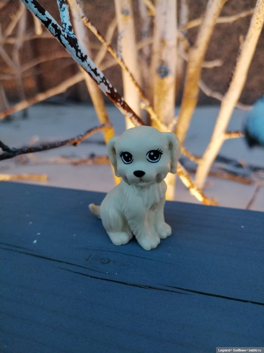 Лурения. Перепись домашних питомцев - 2025