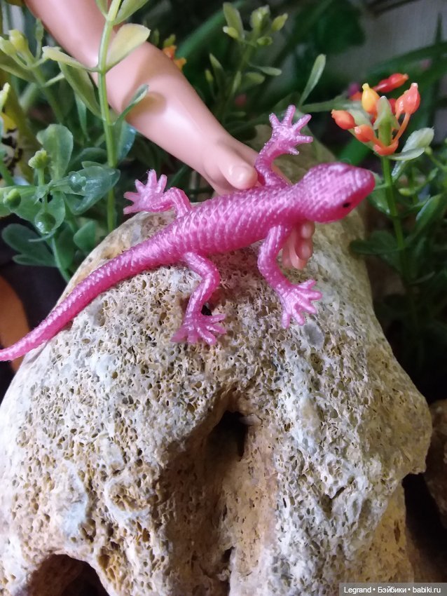 Лурения. Перепись домашних питомцев - 2025