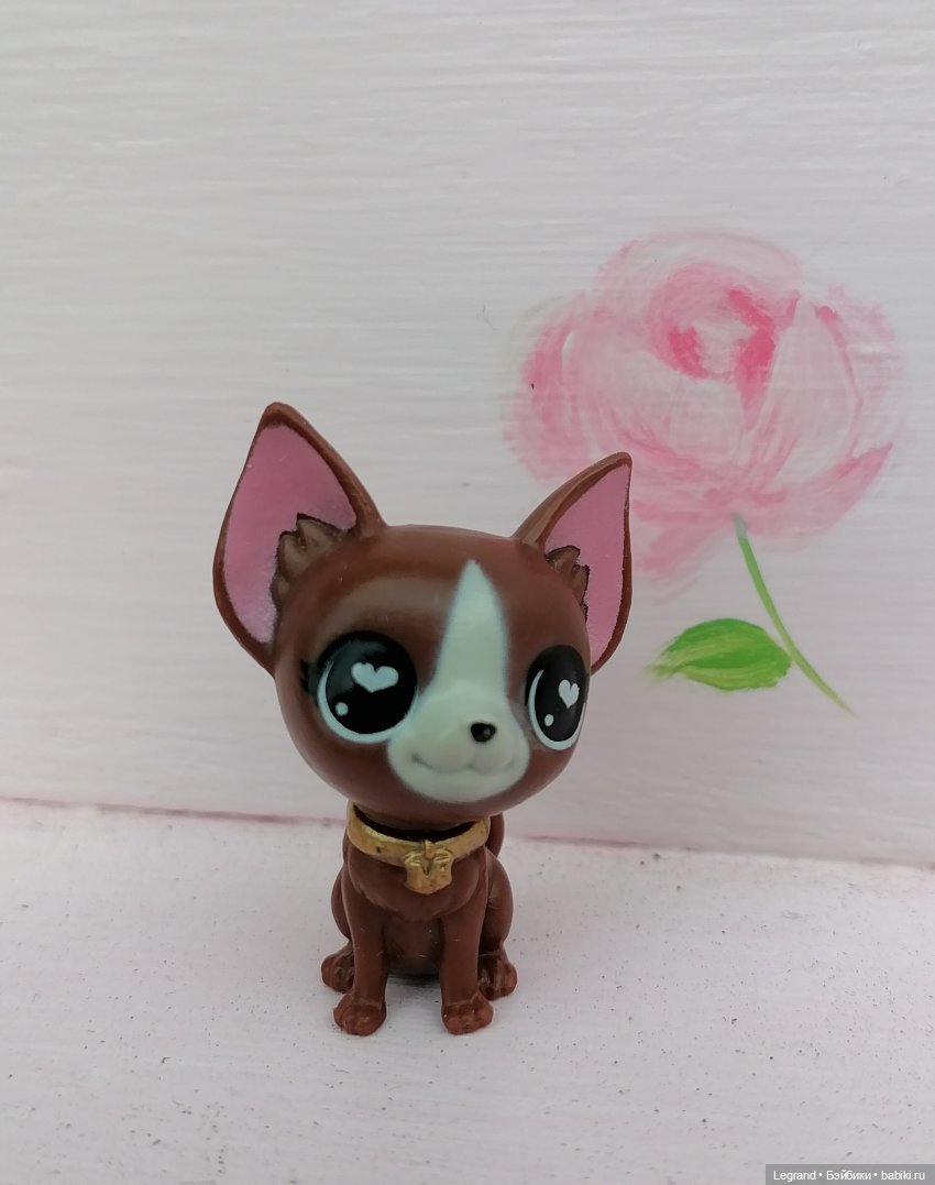 Лурения. Перепись домашних питомцев - 2025