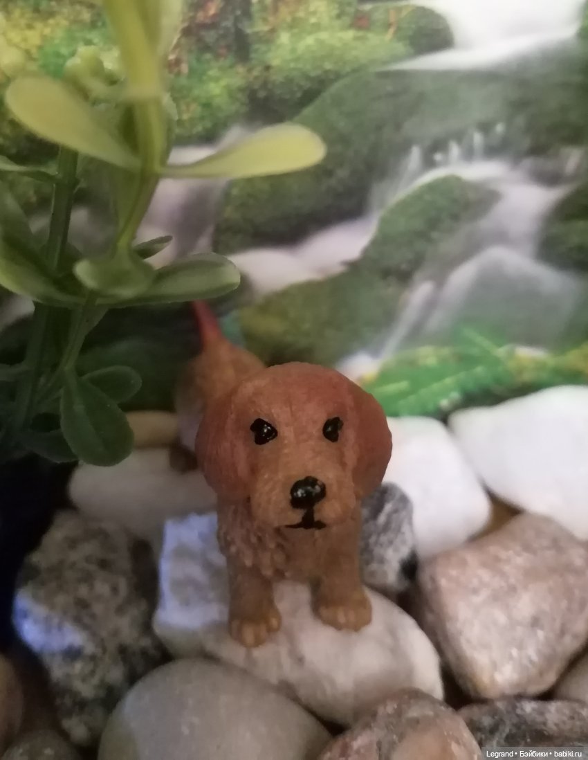 Лурения. Перепись домашних питомцев - 2025