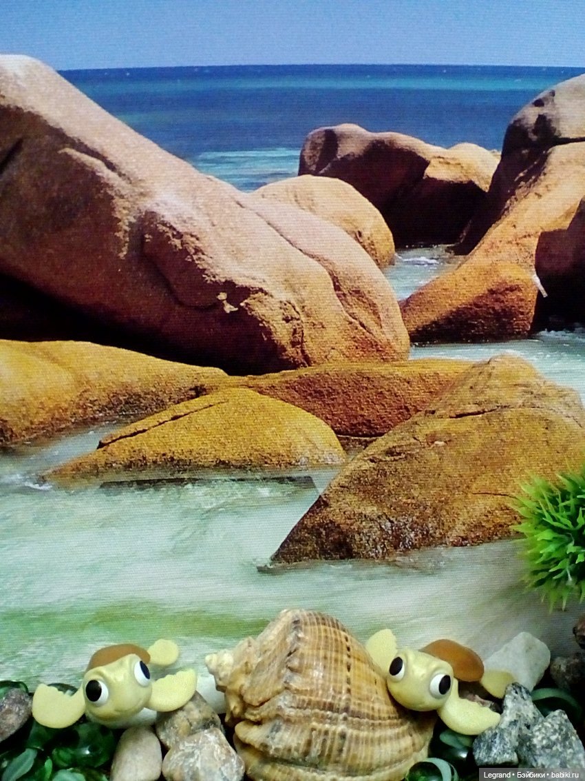 Лурения. Перепись домашних питомцев - 2025