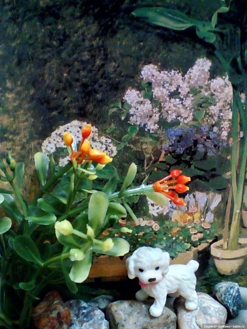 Лурения. Перепись домашних питомцев - 2025