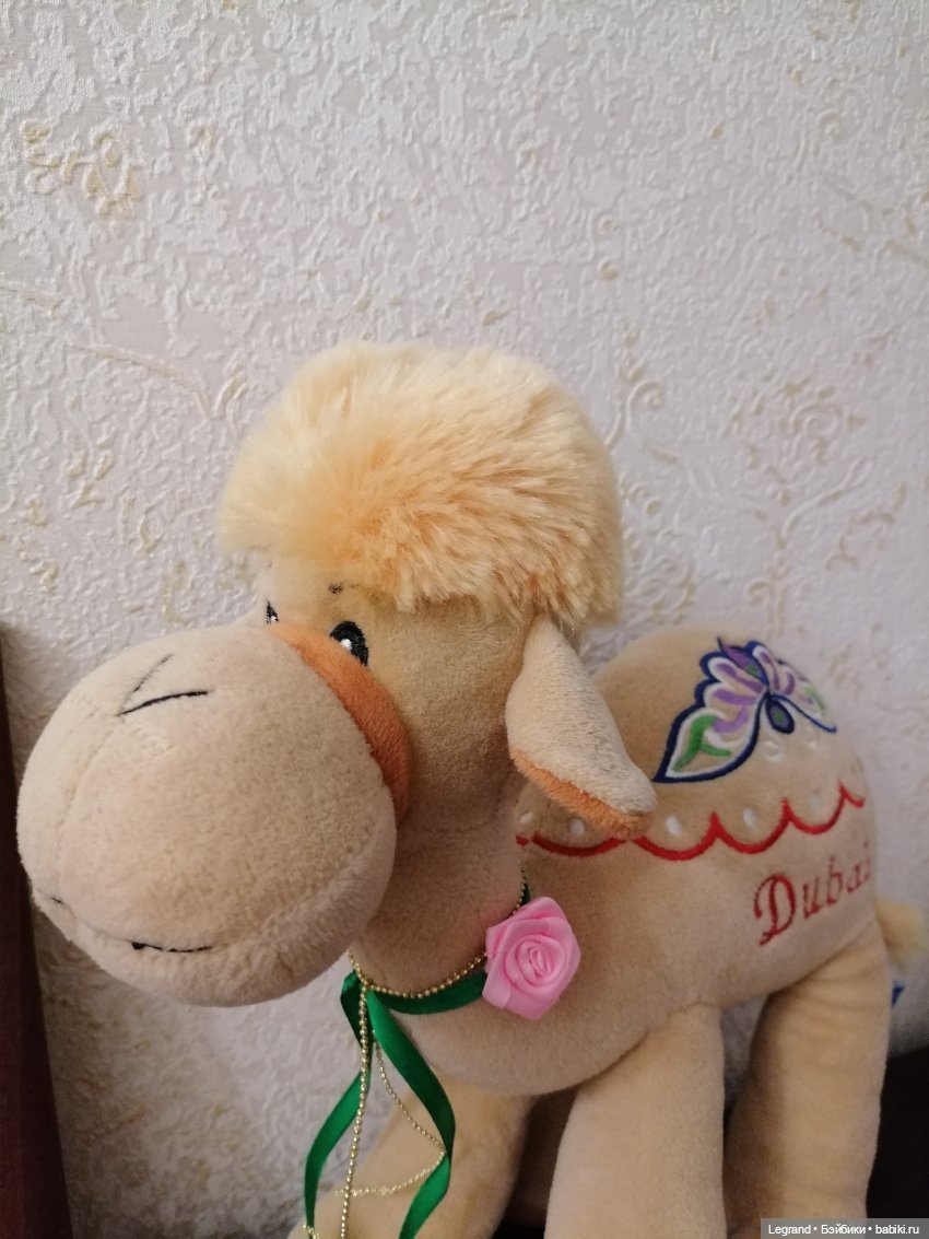 Лурения. Перепись домашних питомцев - 2025