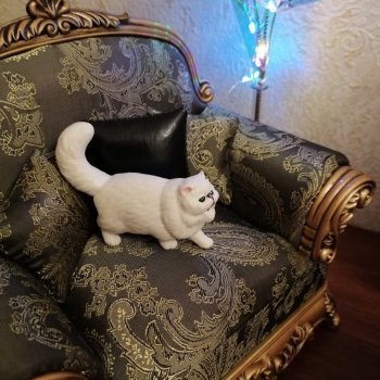 Лурения. Перепись домашних питомцев - 2025