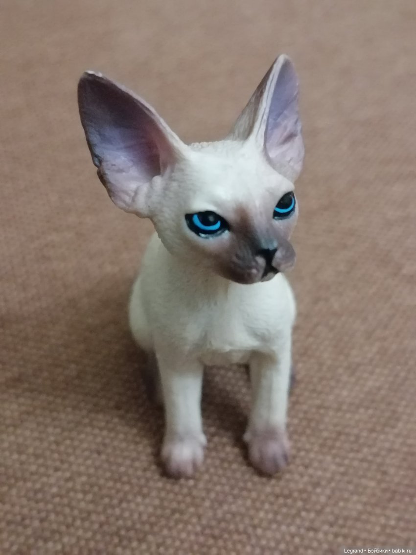 Приезд Сюмбюля. Стихи Лестата (фото 7)