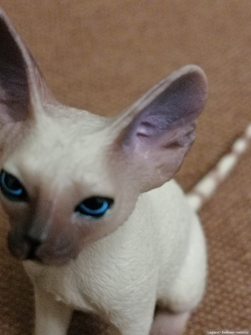 Приезд Сюмбюля. Стихи Лестата (фото 3)