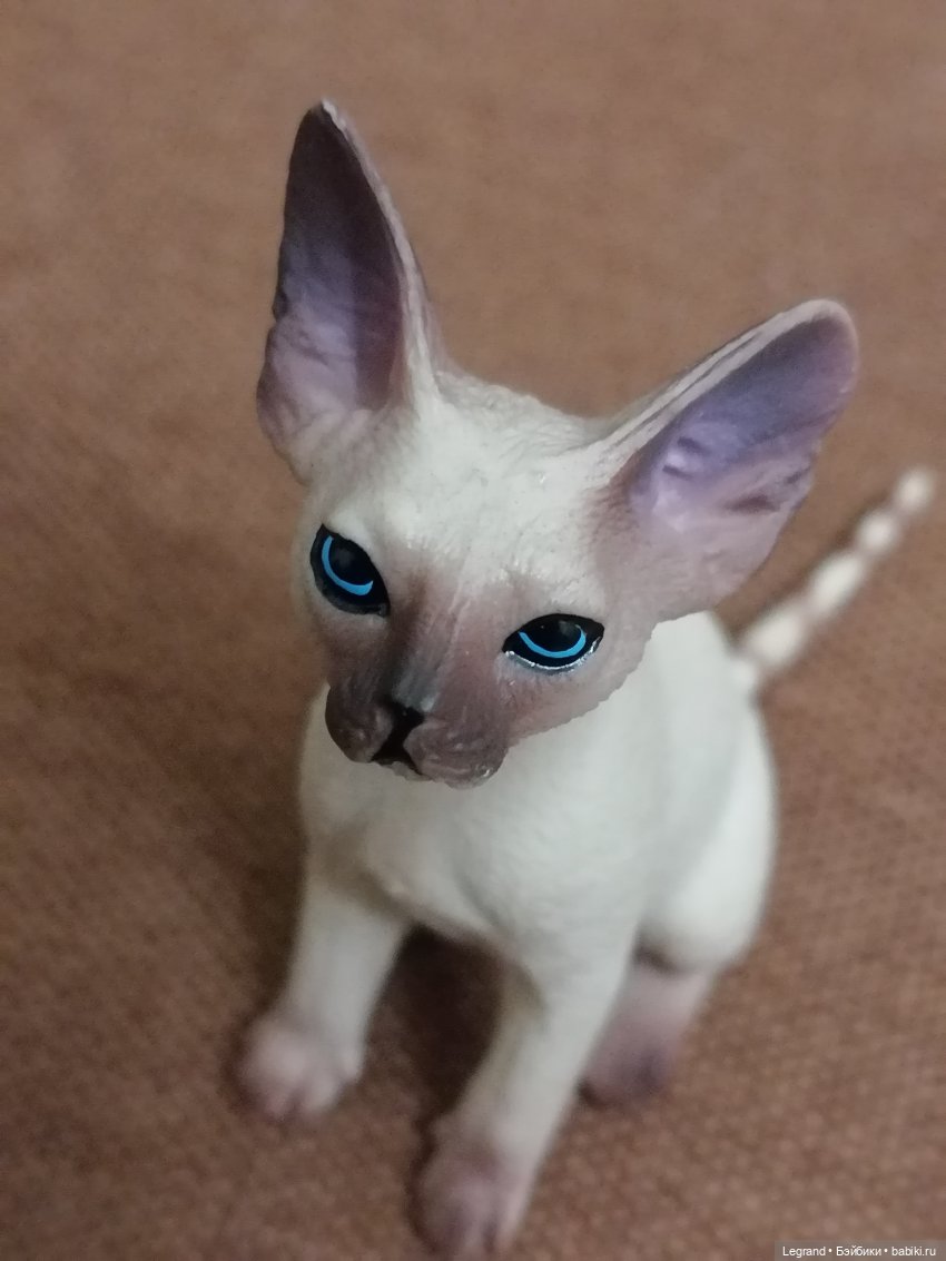 Приезд Сюмбюля. Стихи Лестата (фото 5)