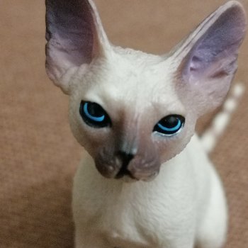 Приезд Сюмбюля. Стихи Лестата