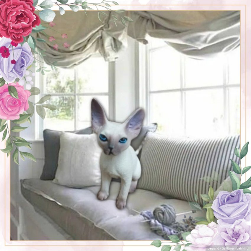 Планы Сюмбюля. Стихи Лестата (фото 4)