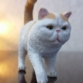 Лурения. Ренуар