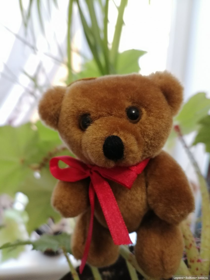 Из жизни моих мишек: Мишель | Бэйбики Из жизни моих мишек: Мишель