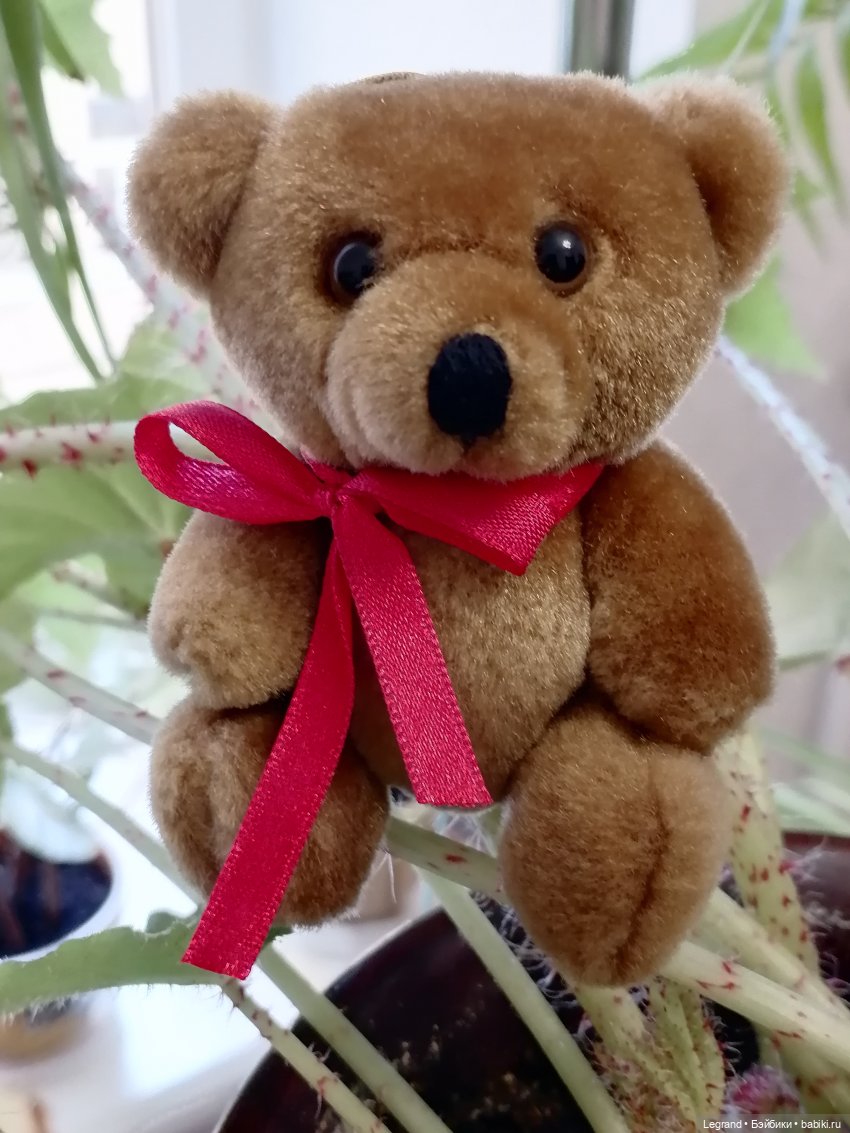 Из жизни моих мишек: Мишель | Бэйбики Из жизни моих мишек: Мишель