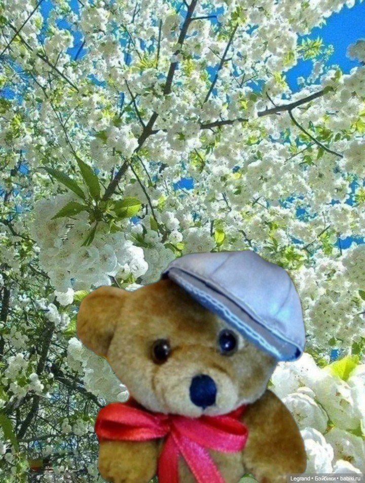 Из жизни моих мишек: Мишель | Бэйбики Из жизни моих мишек: Мишель