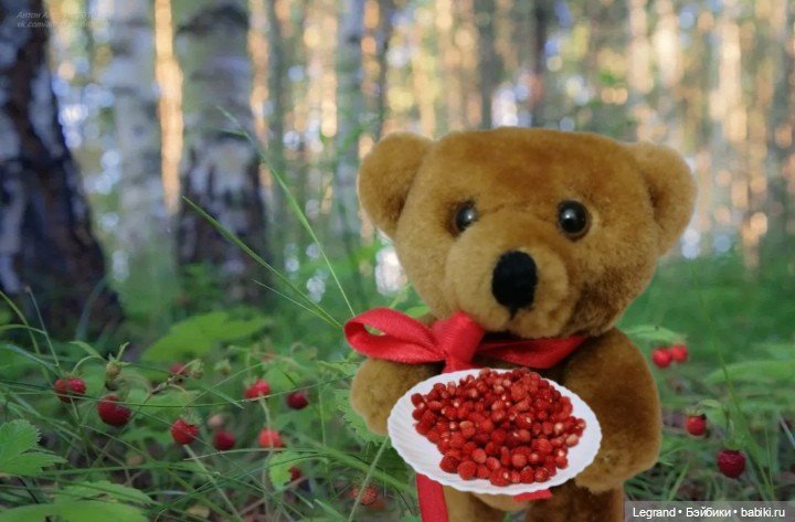 Из жизни моих мишек: Мишель | Бэйбики Из жизни моих мишек: Мишель