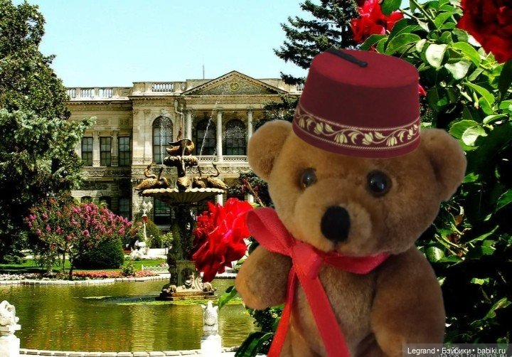 Из жизни моих мишек: Мишель | Бэйбики Из жизни моих мишек: Мишель (фото 10)