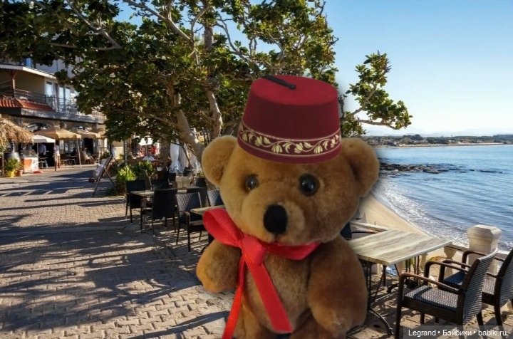 Из жизни моих мишек: Большое путешествие маленького Мишеля