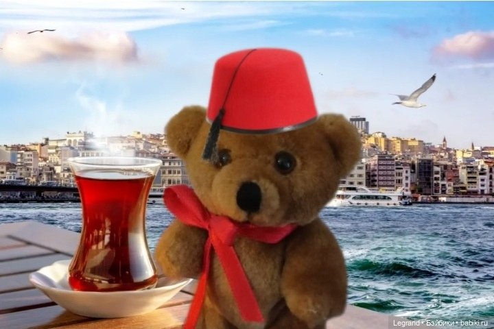 Из жизни моих мишек: Большое путешествие маленького Мишеля