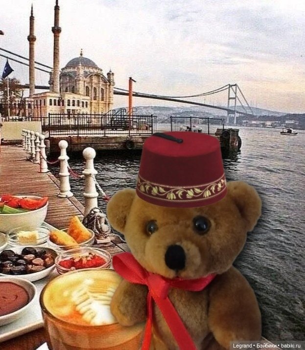 Из жизни моих мишек: Большое путешествие маленького Мишеля