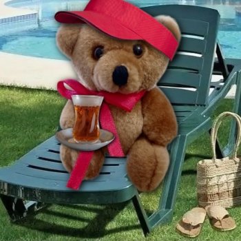 Из жизни моих мишек: Большое путешествие маленького Мишеля