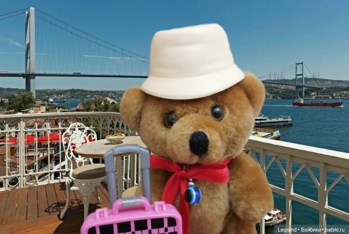 Из жизни моих мишек: Большое путешествие маленького Мишеля