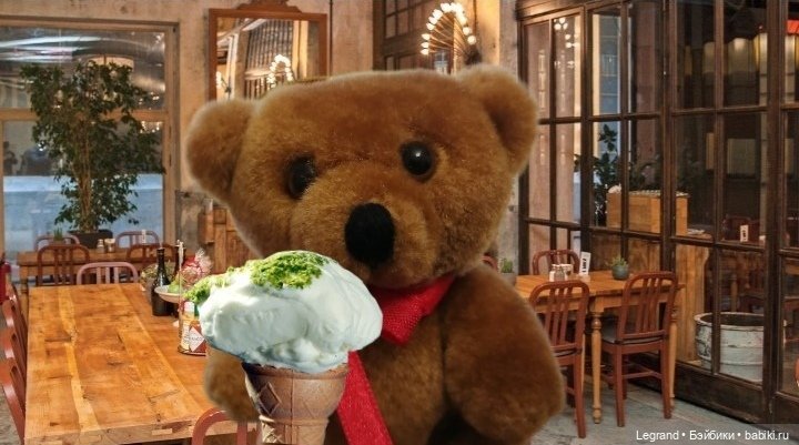 Из жизни моих мишек: Большое путешествие маленького Мишеля (фото 5)