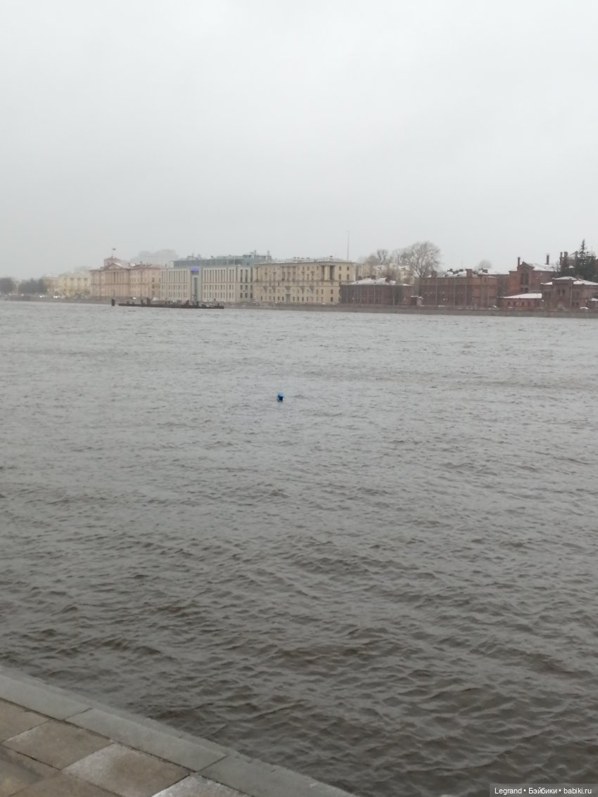 Санкт-Петербург: зима в апреле. Прогулка с собачками - часть вторая