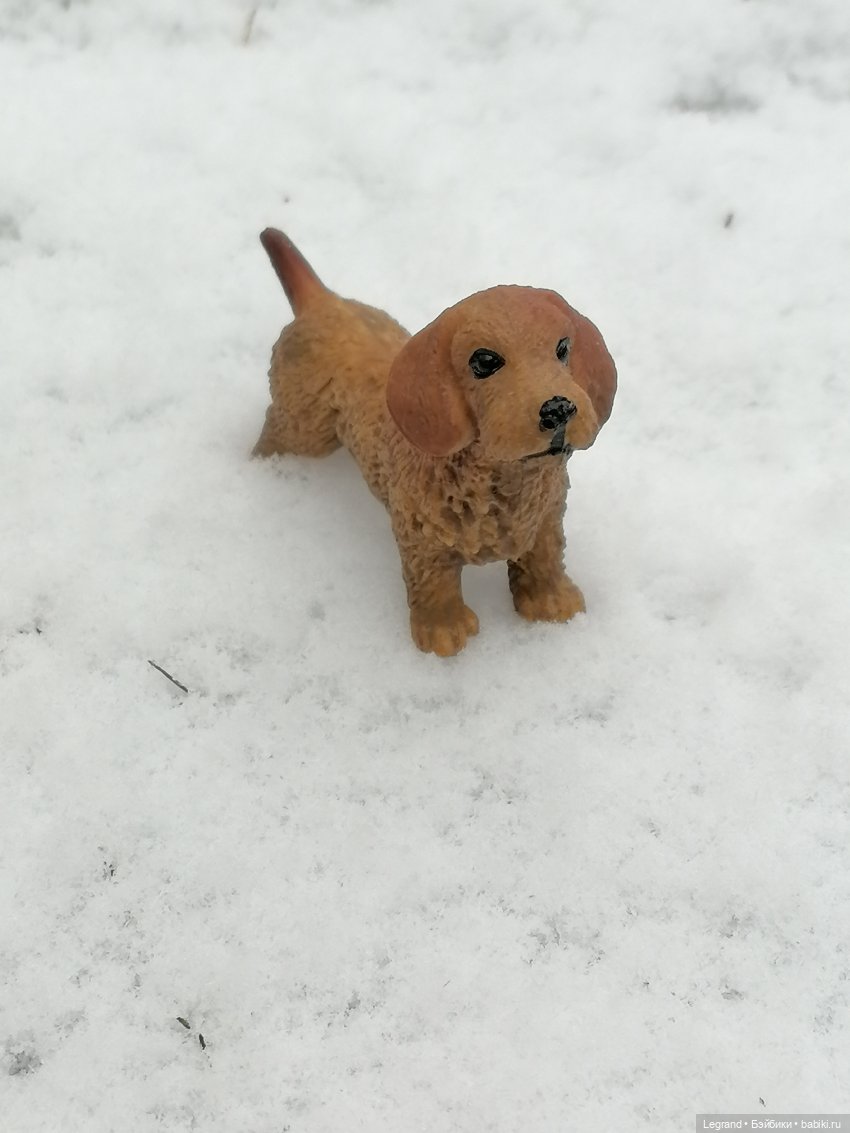 Санкт-Петербург: зима в апреле. Прогулка с собачками - часть первая