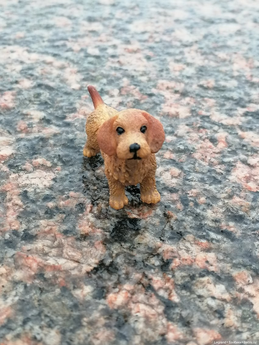 Санкт-Петербург: зима в апреле. Прогулка с собачками - часть вторая