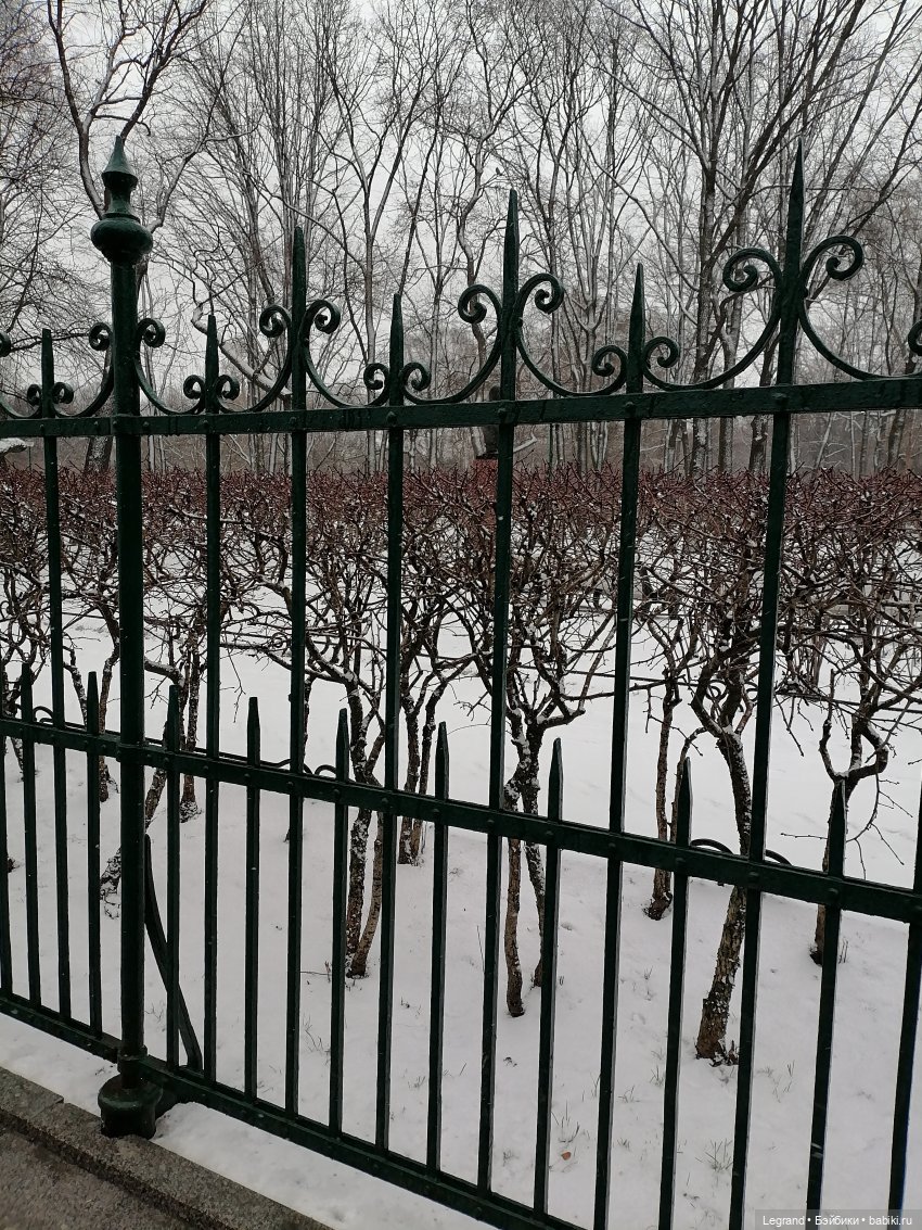 Санкт-Петербург: зима в апреле. Прогулка с собачками - часть первая