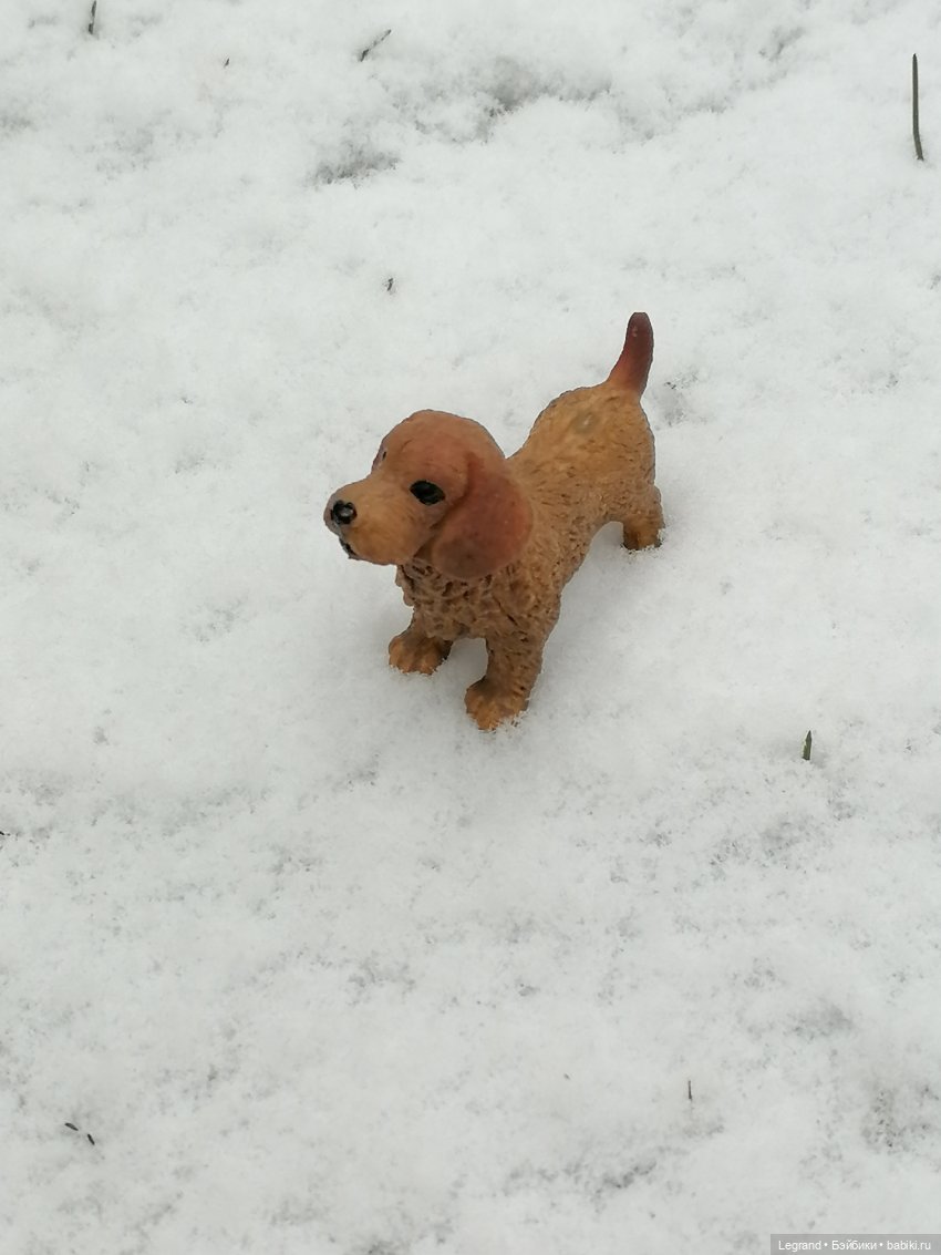 Санкт-Петербург: зима в апреле. Прогулка с собачками - часть первая