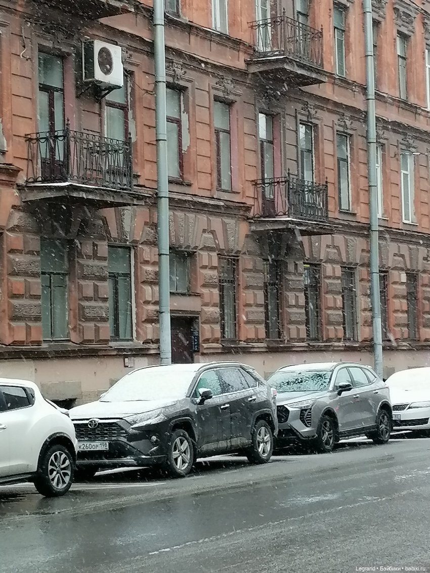 Санкт-Петербург: зима в апреле. Прогулка с собачками - часть первая